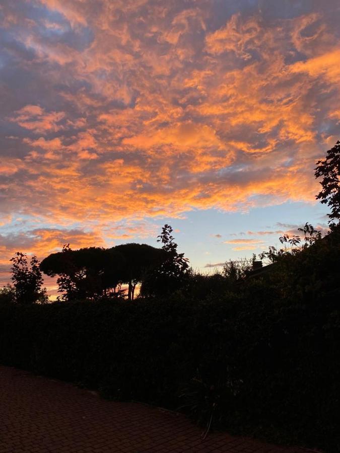 Ai Glicini - Castelli Romani Bed & Breakfast Marino
