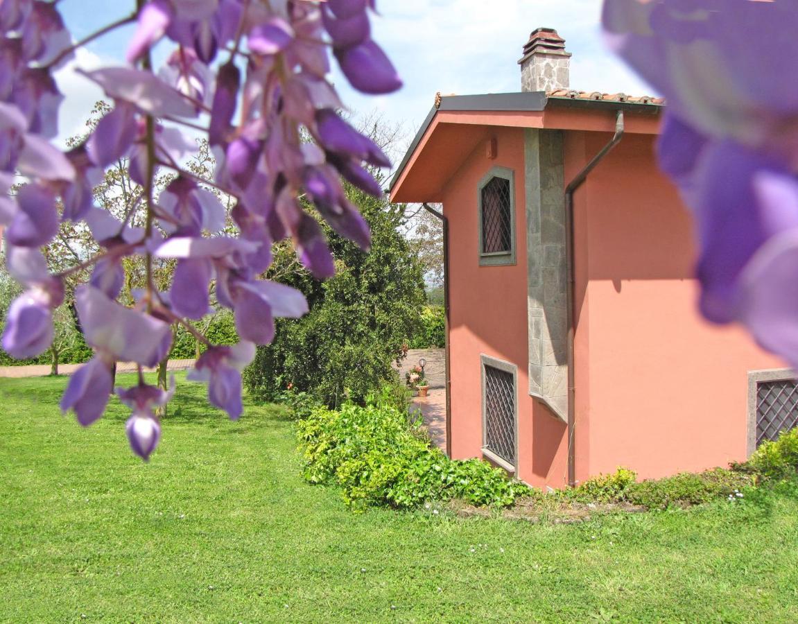 Ai Glicini - Castelli Romani Bed & Breakfast Marino