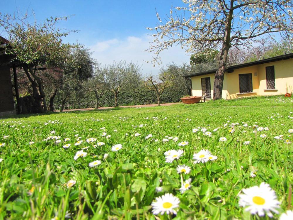 Bed & Breakfast Ai Glicini - Castelli Romani *