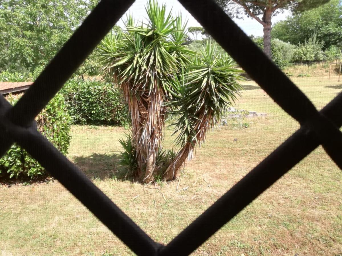 Ai Glicini - Castelli Romani Bed & Breakfast Marino