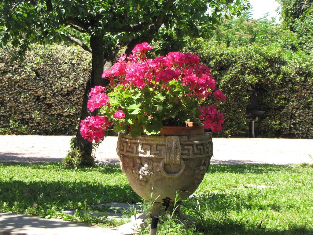 Bed & Breakfast Ai Glicini - Castelli Romani Marino