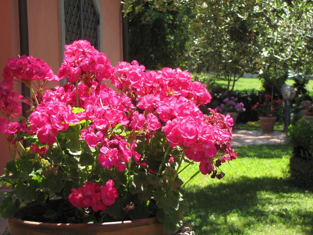 Bed & Breakfast Ai Glicini - Castelli Romani *