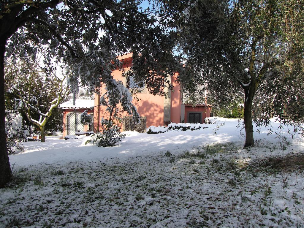 Frühstückspension Ai Glicini - Castelli Romani