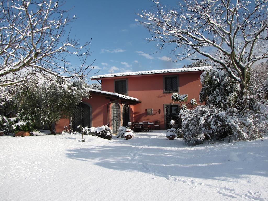 Ai Glicini - Castelli Romani Marino